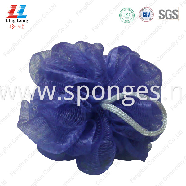 Purple Sponge